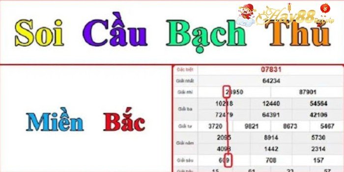 Soi Cầu Bạch Thủ Lô – Bí Quyết Dự Đoán Chuẩn Xác