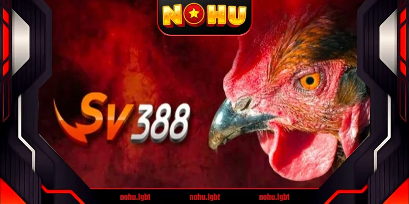 Lợi thế giúp Sv388 để lại ấn tượng sâu sắc