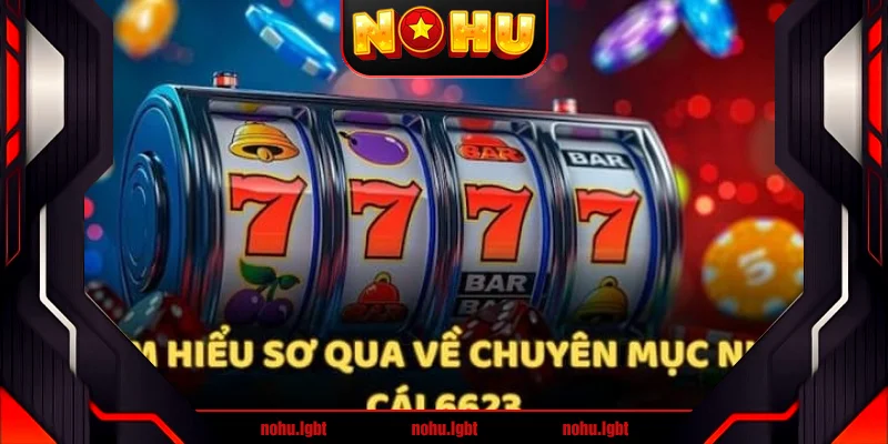 Sơ lược thông tin về nhà cái 6623